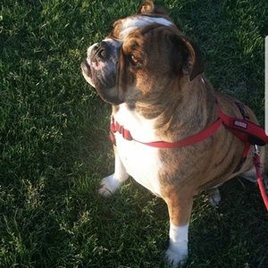 Meet your Posher, Abel